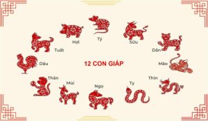 tu-vi-luan-giai-12-con-giap