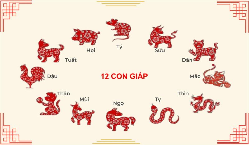 tu-vi-luan-giai-12-con-giap