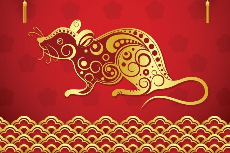 tuổi tý